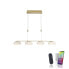 LED Pendellampe Q ETIENNE Smart Home