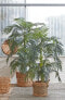 Фото #5 товара Kunstpflanze Areca Palme