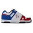 Фото #3 товара DC SHOES Stag Trainers
