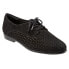 Фото #2 товара Trotters Lizzie Perf T1910-036 Womens Black Narrow Leather Loafer Flats Shoes 9