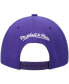 ფოტო #5 პროდუქტის Men's Purple Phoenix Suns Hardwood Classics Team Ground 2.0 Snapback Hat