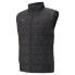 Фото #1 товара PUMA Teamliga Vest