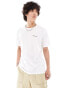 Columbia Brice Creek mountain back print t-shirt in white Exclusive at ASOS