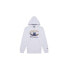 Фото #1 товара Champion Hooded Sweatshirt