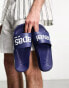 Havaianas Classic Logomania sliders in navy