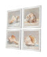 Shell Study Framed Art, Set of 4