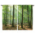 Фото #1 товара Fertiggardine Wald I (2er-Set)