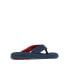 ფოტო #8 პროდუქტის Men's Rostra Beachcomber Performance Flip-Flop Sandal