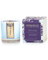 Фото #1 товара Spongellé Private Reserve 8Oz Hand Poured Candle: Blackberry