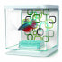 ფოტო #1 პროდუქტის MARINA Betta Geo Bubbles aquarium kit