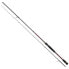 DAIWA Infeet RF spinning rod