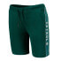 Petrol Industries Core 9 Fifty Stretch Fit Sweat Shorts