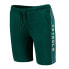 Фото #2 товара Petrol Industries Core 9 Fifty Stretch Fit Sweat Shorts