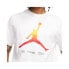 Фото #3 товара Nike Jordan Legacy AJ11