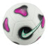Фото #1 товара Nike Futsal Pro FJ5549-100 ball