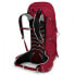 Фото #2 товара OSPREY Talon 36L backpack