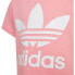 ADIDAS ORIGINALS Adicolor Trefoil short sleeve T-shirt