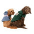 Фото #17 товара FUZZYARD Treats Dog Sweatshirt Hoodie