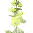 Фото #2 товара Искусственные цветы PTMD Collection Künstliche Blume Hollyhock