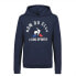 Фото #1 товара LE COQ SPORTIF Fanwear hoodie