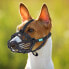 Фото #5 товара FREEDOG Ergo Plus Muzzle