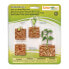 SAFARI LTD Life Cycle Of A Green Bean Plant Figure