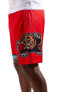 Mens Mitchell & Ness NBA SWINGMAN SHORTS - VANCOUVER GRIZZLIES 1998