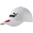 Фото #1 товара PUMA M ESSENTIAL CAP SR 052919 10