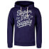 Фото #1 товара SUPERDRY Vintage Script Style Ww hoodie