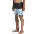 Фото #5 товара Плавательные шорты Quiksilver Wordblock 14´´ для мальчиков 8-16 лет