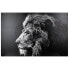 Фото #1 товара Bedruckte Leinwand LION