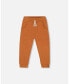 ფოტო #1 პროდუქტის Boy French Terry Pant Spicy Brown - Toddler|Child