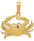 ფოტო #1 პროდუქტის Crab Charm Pendant in 14k Yellow Gold