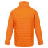 Фото #7 товара REGATTA Hydrate VIII 3 In 1 jacket