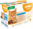 IAMS Iams Cat Adult Sea collection in Gravy 12x85g