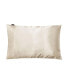 Фото #1 товара DualSilk Silk & Eucalyptus Pillowcase
