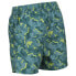 Фото #4 товара REGATTA Skander II Swimming Shorts