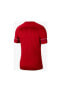 Фото #11 товара Футболка Nike Dh9225 M Nk Df Acdpr Ss Top K, красная