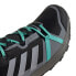 ADIDAS Terrex Skyhiker Goretex hiking shoes