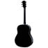 Taylor 217e-BLK Plus