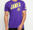 Фото #3 товара Nike NBA 洛杉矶湖人队 詹姆斯运动短袖T恤 男款 紫色 / Футболка Nike NBA T AH0078-551