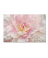 Фото #1 товара Cora Niele 'Pink Peony' Canvas Art - 32" x 22" x 2"