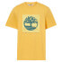 Фото #3 товара TIMBERLAND Front Graphic short sleeve T-shirt