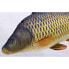 Фото #3 товара GABY The Common Carp Mini Pillow