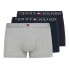 Фото #1 товара Tommy Hilfiger TRUNK WB