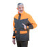 Фото #2 товара TREELAND T628 Jacket