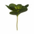 Декоративное растение Листья Круглая Пластик 18 x 23 x 18 cm (6 штук)