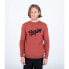 Фото #1 товара HURLEY M Hurler sweatshirt