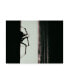 Фото #1 товара Pixie Pics Spider 3 Canvas Art - 37" x 49"
