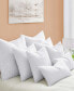Фото #1 товара 2-Pack Feather & Down Pillow Inserts, 20x20 Square